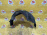 Подкрылок BMW 3-Series E90/E91 '2008 зад, лев 51717059381