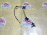 Датчик ABS Mazda Premacy CP8W/CP8WF/CPEW зад, прав C1004371Y