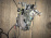Замок двери Toyota ACR30/ACR40 Estima в сборе зад, прав
