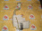 Бачок омывателя Toyota ST200/ST202 Carina ED/Corona Exiv (мал.) в сборе 85315-20520