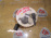 Бензонасос Toyota Estima #CR30 2WD 77020-28010