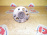 Ступица Toyota ACN10/SXN10/ACM10/CXM10/SXM10 Gaia/Nadia R 2WD ABS Барабанные тормоза. Подшипник без барабана и колодок. 42450-44010