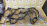 Коса ДВС Nissan SR18-DE Bluebird EU14-051546 '01.1996-09.1997 2WD a/t + комп 23710-8E511 с эл. спид. трамб. 6+2 конт. RL4F03A 3 конт 240118E500