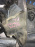 Защита радиатора Toyota NCP50 Probox перед, лев 53869-52010