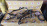 Коса ДВС Nissan SR18-DE Bluebird EU14-045302 '01.1996-09.1997 2WD a/t + комп 237108E511 с эл. спид. трамб. 6+2 конт. RL4F03A 3 конт 240118E500+240798E