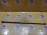 Тяга поперечная Nissan WFY11/VFY11/WHY10/VEY10/VW11/VEW11 Wingroad/AD/Expert R реактивная (панара) 55130-88R00