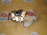 Замок двери Subaru GG2 Impreza (4 контакта) перед, прав 61100FE020