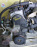Двигатель Honda D15B-3803259 4WD без генератора    VTEC Civic ES2