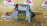 Стартер Nissan H15/H20 12V вилочный погрузчик 23300-00H10 /-00H11/-L1111/-L2912/-P5114-RE/ M3T21882D
