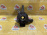 Ступица Opel Z02/F68 Vectra C '2002 перед, лев ABS голая 0271L 24413032