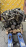 Двигатель Nissan V9X6A6-C000128 Navara/Pathfinder