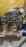 Двигатель Mitsubishi 4G63-SK4926 2WD/4WD 2 вальн DOHC Chariot/RVR N23