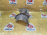 Пыльник шруса Bentley 3W Continental BEB '2005 L VAG 3W0407722