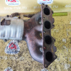 Коллектор выпускной Mitsubishi 4G93 Lancer Cedia CS5W GDI MR571886
