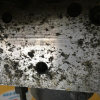 Блок ABS NISSAN NT30 X-Trail 47600-AR005