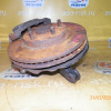 Ступица Toyota ACV30/ACV31 Camry перед, лев ABS. В сборе. Суппорт 63-28. Диаметр диска-280мм. Привод на 26 шлицов. 43212-39035. 43502-33020