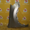 Крыло Nissan Dualis/Qashqai NJ10 '2006-2010 перед, прав