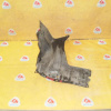 Защита двигателя Toyota ST202/ST206 Carina ED/Corona Exiv/Celica/Curren перед, прав 51441-20400