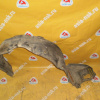 Подкрылок Toyota Corolla/Corolla Spacio ZZE120/NZE121 '-04.2004 перед, лев Дефект 53876-12270 (13040)