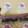 Коллектор выпускной TOYOTA 2UZ-FE Land Cruiser UZJ100 шпильки под замену L 17105-50120
