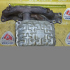 Коллектор выпускной Suzuki M13A Swift HT51S с катализатором 1411080G21 ( 80G-C01/-C02 )