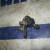 Шаровая Toyota AT190/ST210/ST215/SXM10 Carina/Corona/Caldina/Gaia/Ipsum/Nadia F