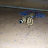 Форсунка TOYOTA 2ZZ-GE желтые 23250-22030
