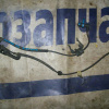 Датчик ABS Toyota Estima MCR40 перед, лев