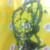Коса ДВС Toyota 2GR-FE Estima GSR55 + компьютер 89661-28C00