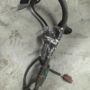 Датчик ABS Nissan Presage U30 перед, прав '1998-2001