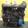 Двигатель Kia Carnival J3-147062 2.9LTD МЕХ.ТНВД Корея БЛОК+ГБЦ FL/UP/GQ '2001