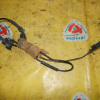 Датчик ABS Nissan AD/Wingroad Y11 зад, прав