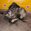 Раздатка SUZUKI H27A/J20A Escudo/Grand Escudo/Grand Vitara TX94W/TD54W '2006- a/t БЕЗ АКТУАТОРА