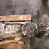 МКПП Mazda/Ford WL/WE S5A1-2 4WD 5 SPEED первичный вал 23шл BT-50#Ranger UN8F1