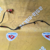 Датчик ABS Honda Elysion RR2 зад, лев
