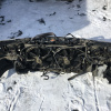 Ноускат Nissan Sunny B15 QG18 '1998-2002 a/t ф. 1602