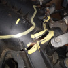 Двигатель Mercury Milan Duratec 30-8R170153 4WD 3.0L V6 VVTi (Ford Fusion USA) A-852-AA CD3 '2006-