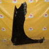Крыло Toyota Allex/Corolla Fielder/Corolla Runx NZE120 '2000-2004/'2001-2002 перед, прав под порог(Дефект)