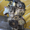 Двигатель Honda L13A-1560007 8 кат.БЕЗ НАВЕСНОГО Fit GD1