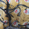 Коса ДВС Toyota 4A-FE Sprinter Marino/Corolla Ceres AE101 a/t + компьютер 89661-12761 A240E трамб 6+2 конт.разъём генератора 3 конт. овальный ДЕФ 2-х