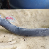 Патрубок  радиатора Nissan 21501AE000 Presage/Bassara/Liberty U30/M12 QR20/QR25 L н F низ.