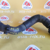 Патрубок  радиатора Nissan 215031KC0B + 21537JD00A Juke NF15 MR16-DDT R н F низ. с корпуса термостата на переходник + переходник