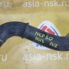 Патрубок  радиатора Toyota Probox/Succeed NCP51/NLP51 1NZ/2NZ/1ND R н F низ