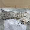 МКПП Ford Ranger MZ-CD/GBVAJ/SAFA/P5AT 4WD 6 SPEED первичный вал 23шл MT82 Getrag AB3R7003BD UP/UR/PX/P375 '2011-