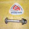 Болт регулировочный BMW X5 E53/E87/E90/E84 R н на нижний рычаг M14X1,5X95-10.9 33306784983