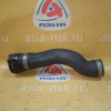 Патрубок радиатора BMW 17127510952, 11531436358 3-Series E46 M52B20TU/M52B25TU/M52B28TU/M54B22/M54B25/M54B30 в F верх (без быстросъема на радиатор)