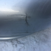 Ноускат Toyota Vitz NCP10 1NZ '1999-2001 a/t Дефект бампера ф.52-001