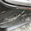 Ноускат Nissan Qashqai/Dualis KJ10 '2006-2010 ф.11384(5) xenon тум.029065