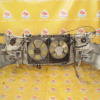 Ноускат Toyota Nadia SXN10 '1998-2001 a/t без габаритов ф.44-18