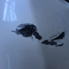Бампер HONDA HR-V GH1 '09.1998-06.2001 перед дефект 71101-S2H-0000